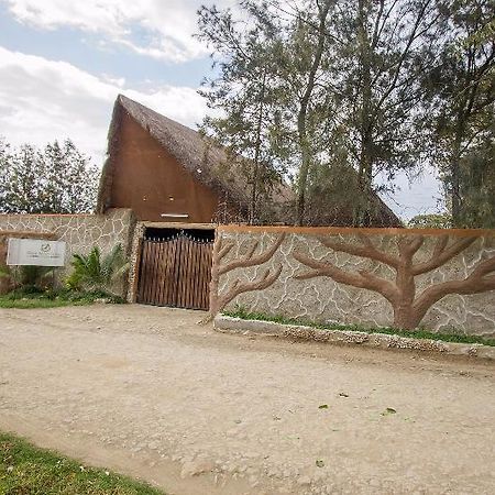 Dove Nest Lodge ไนวาชา ภายนอก รูปภาพ