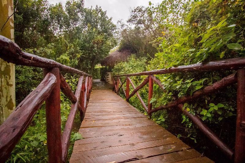 Dove Nest Lodge ไนวาชา ภายนอก รูปภาพ